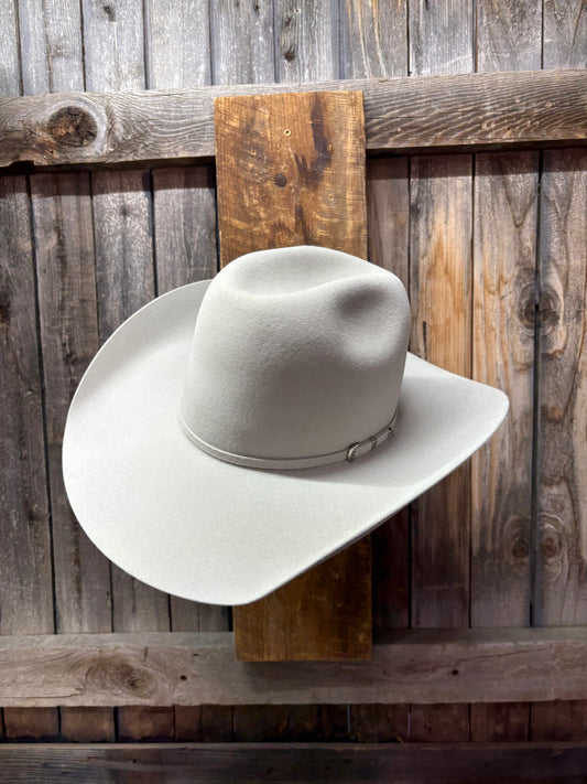 Rodeo King 10X 4 1/2" Brim | Silverbelly