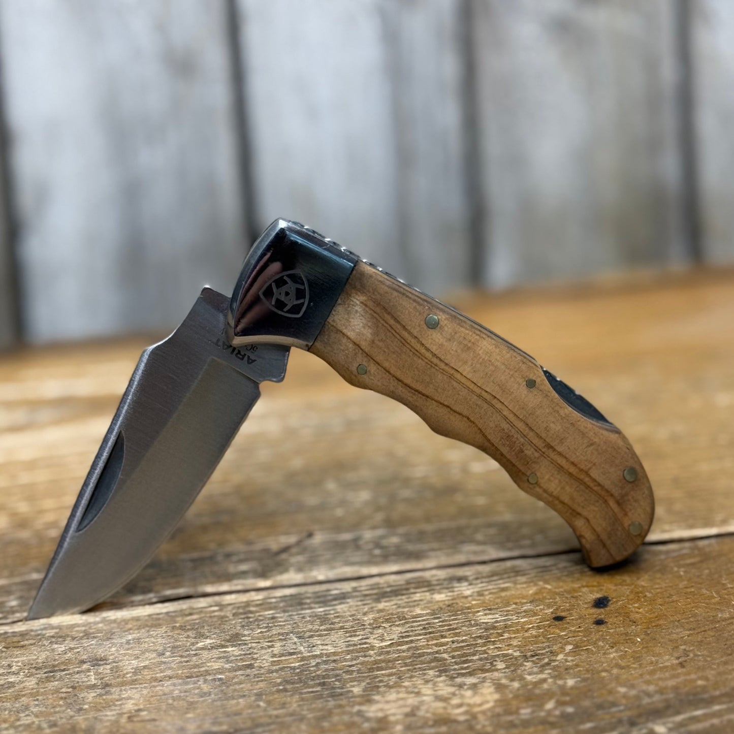 Ariat Folding Smooth Knife | Medium Brown