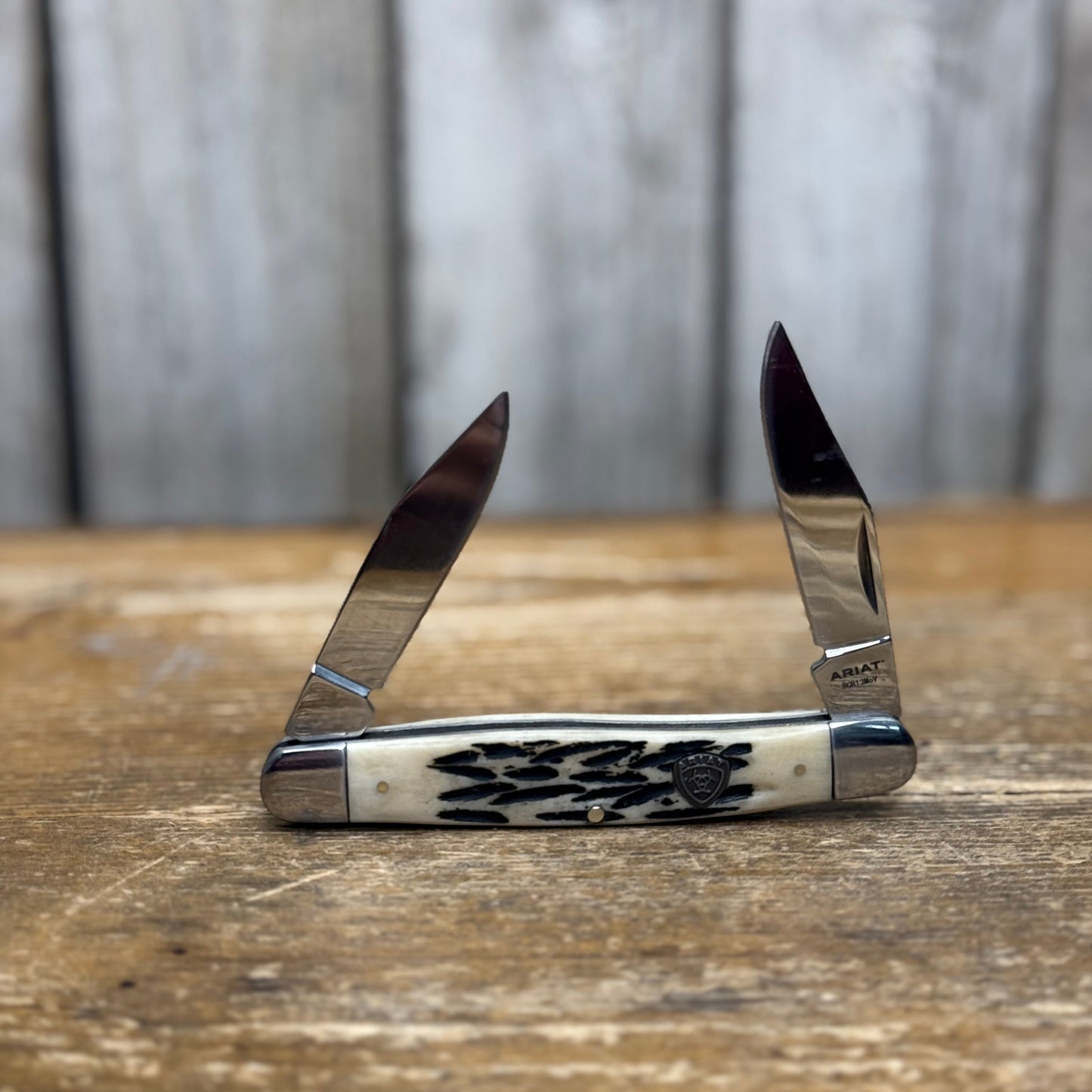 Ariat Muskrat Folding Knife | Large