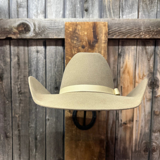 Beige cowboy hat with a band hanging on a wooden board against a rustic wooden background