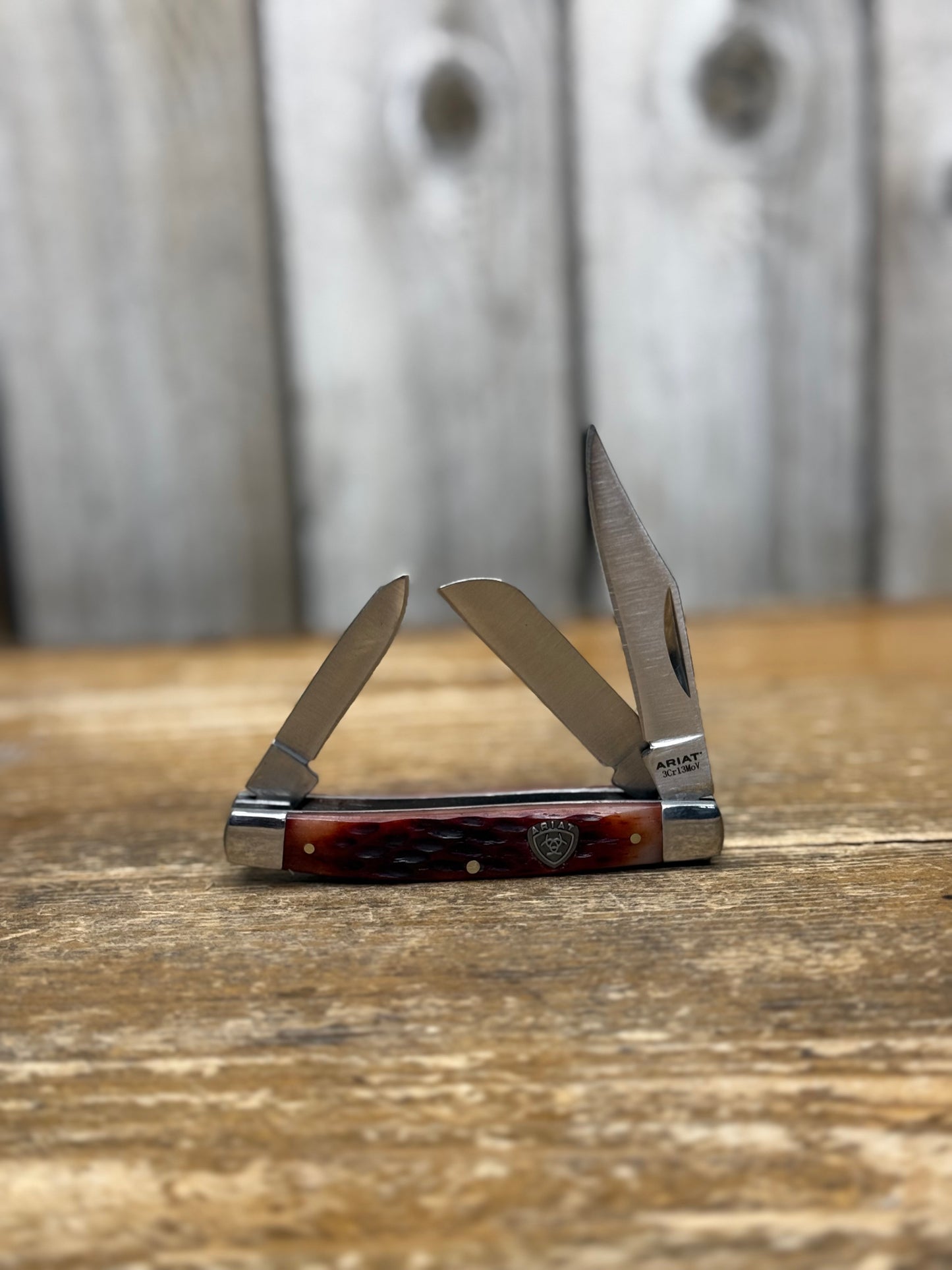 Ariat Stockman Folding Knife | Medium