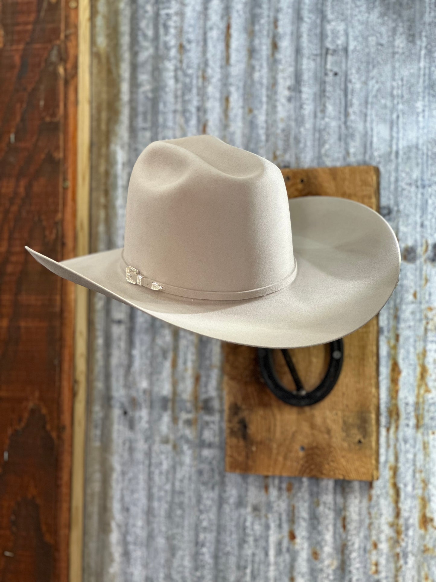 Rodeo King 100X / 100% Pure Beaver 4 1/2" Brim | Silverbelly WITH FREE HAT CAN