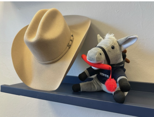 Silverbelly | Alumni School of Mines Hat **Limited Availability**