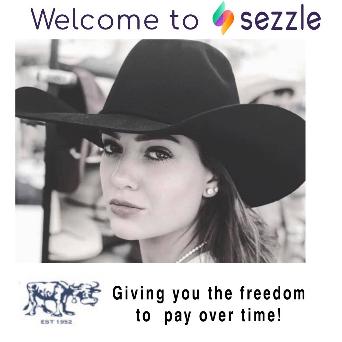 Lote de vacas 100X Ala de 5" | Negro