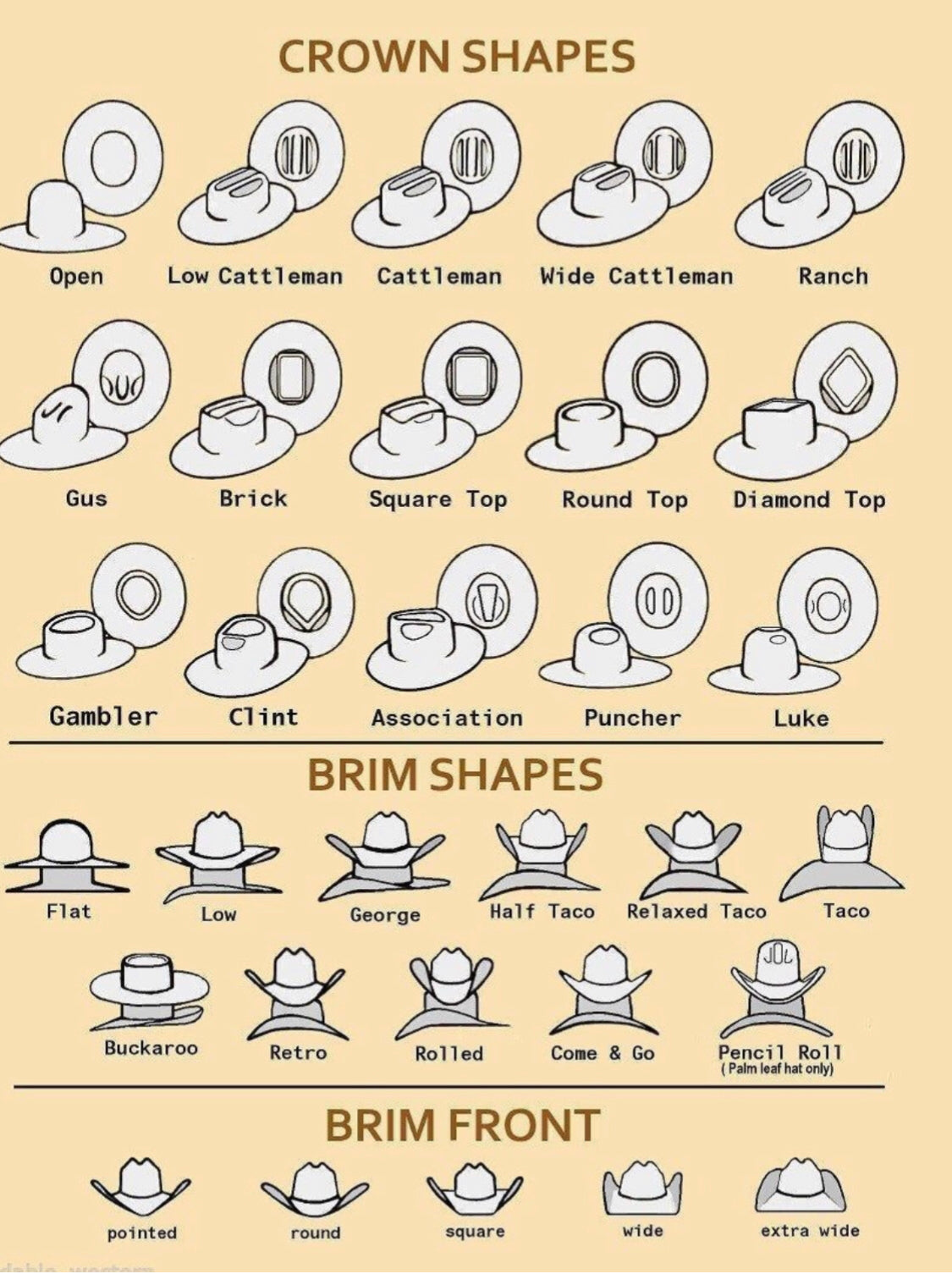 Twister Brown Bangora 4 1/2" Brim