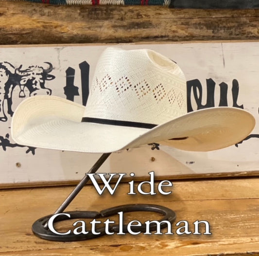 Rodeo King 24K 5" Brim