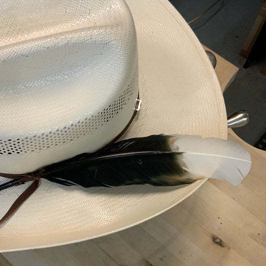 Feather | Imitation Eagle Black