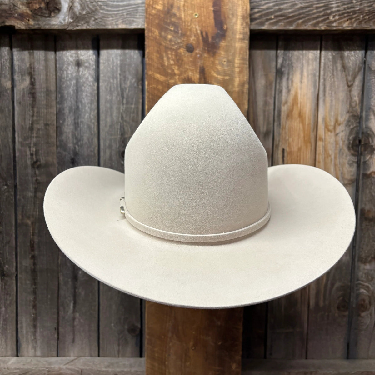 Rodeo King 100X / 100% Pure Beaver 4 1/2" Brim | Silverbelly WITH FREE HAT CAN