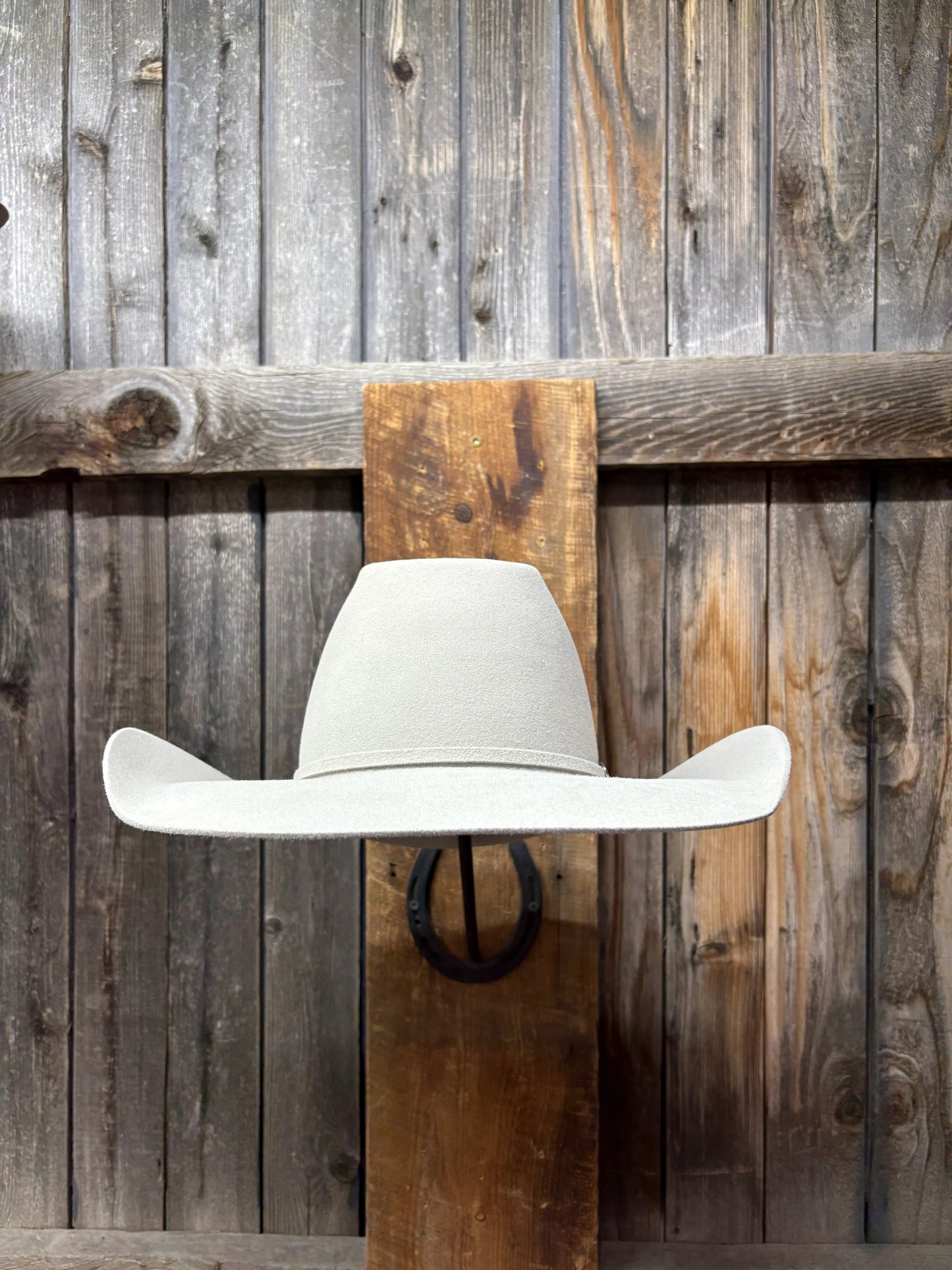 Rodeo King 10X 4 1/2" Brim | Silverbelly
