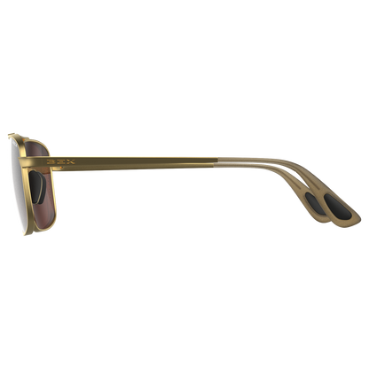 BEX Sunglasses| Accel Gold/ Brown /Silver