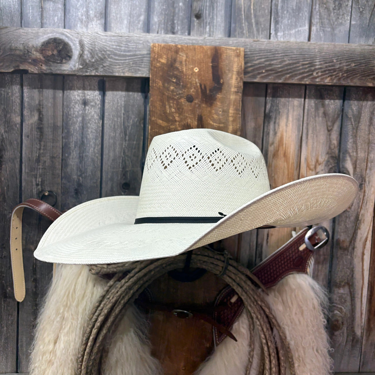 Rodeo King 24K Ala de 5"