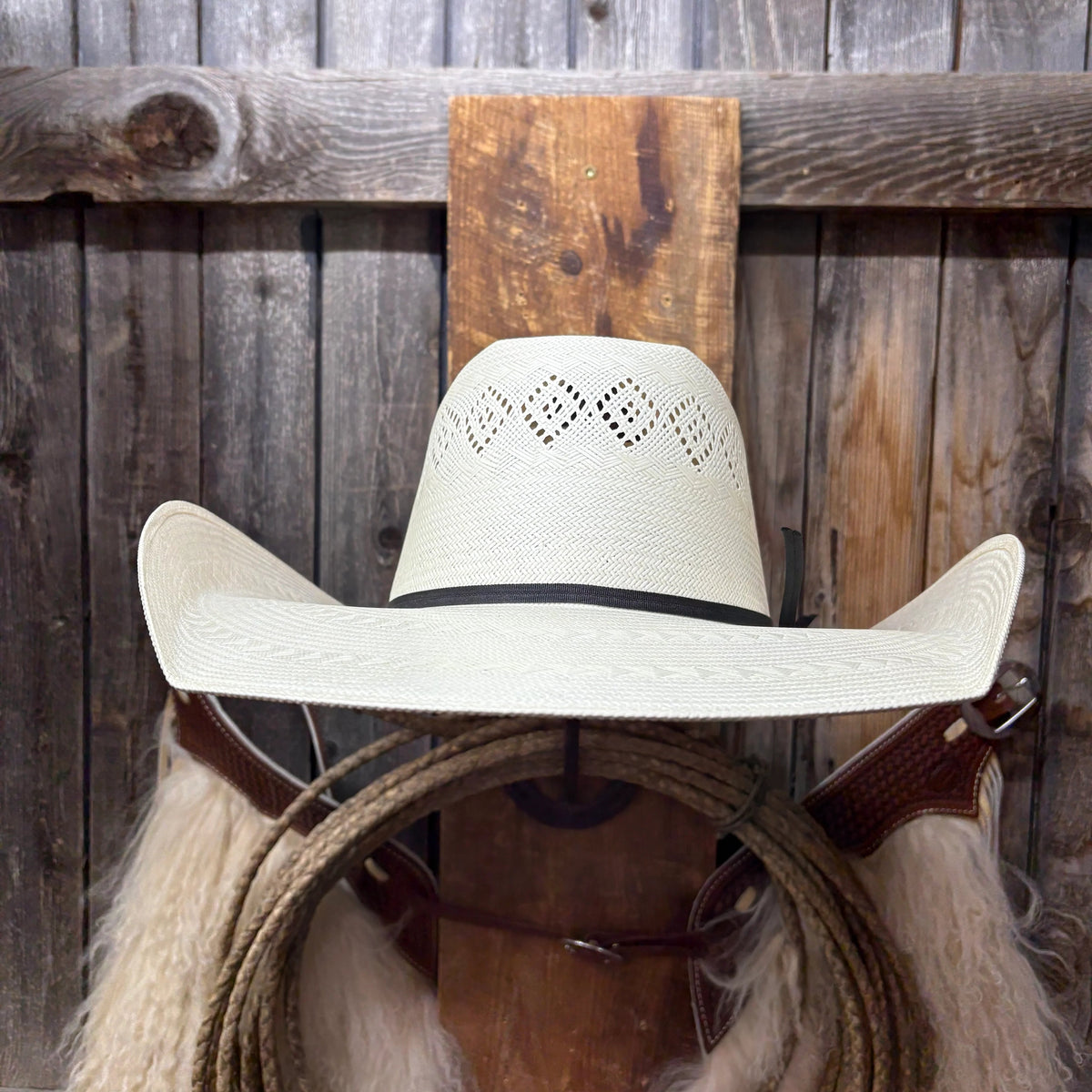 Rodeo King 24K Ala de 5"
