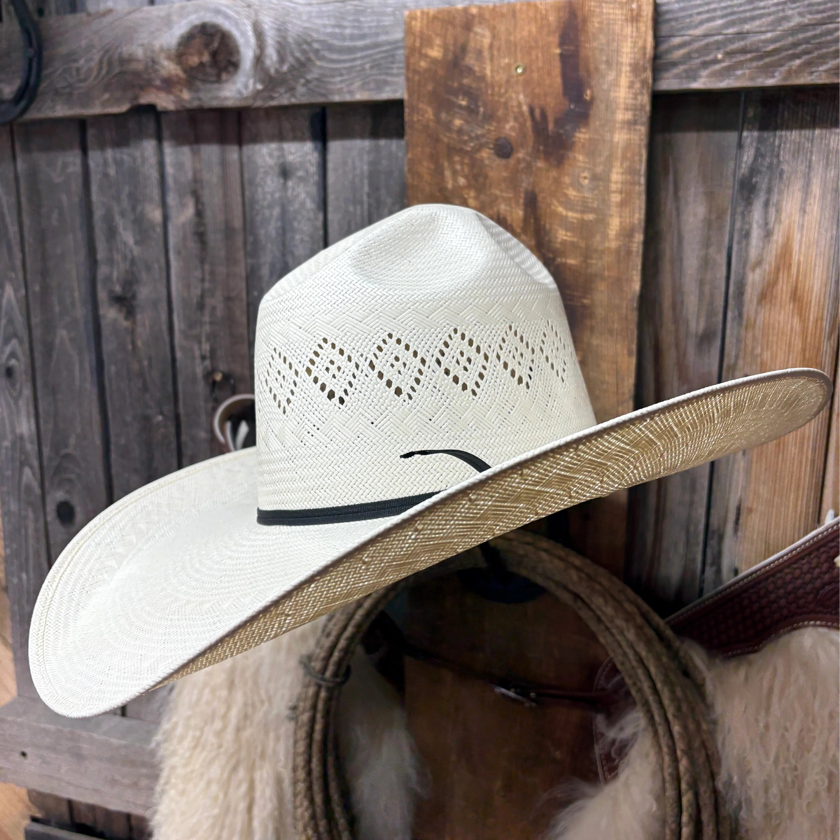 Rodeo King 24K Ala de 5"