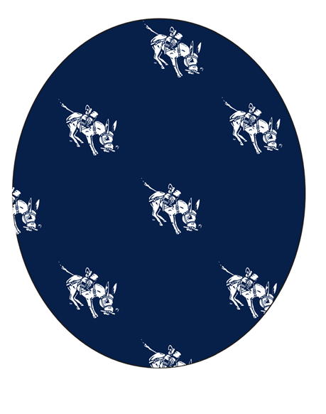 Silverbelly | Alumni School of Mines Hat **Limited Availability**