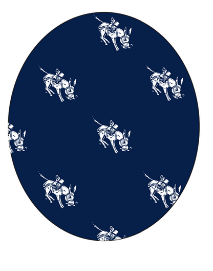 Silverbelly | Alumni School of Mines Hat **Limited Availability**