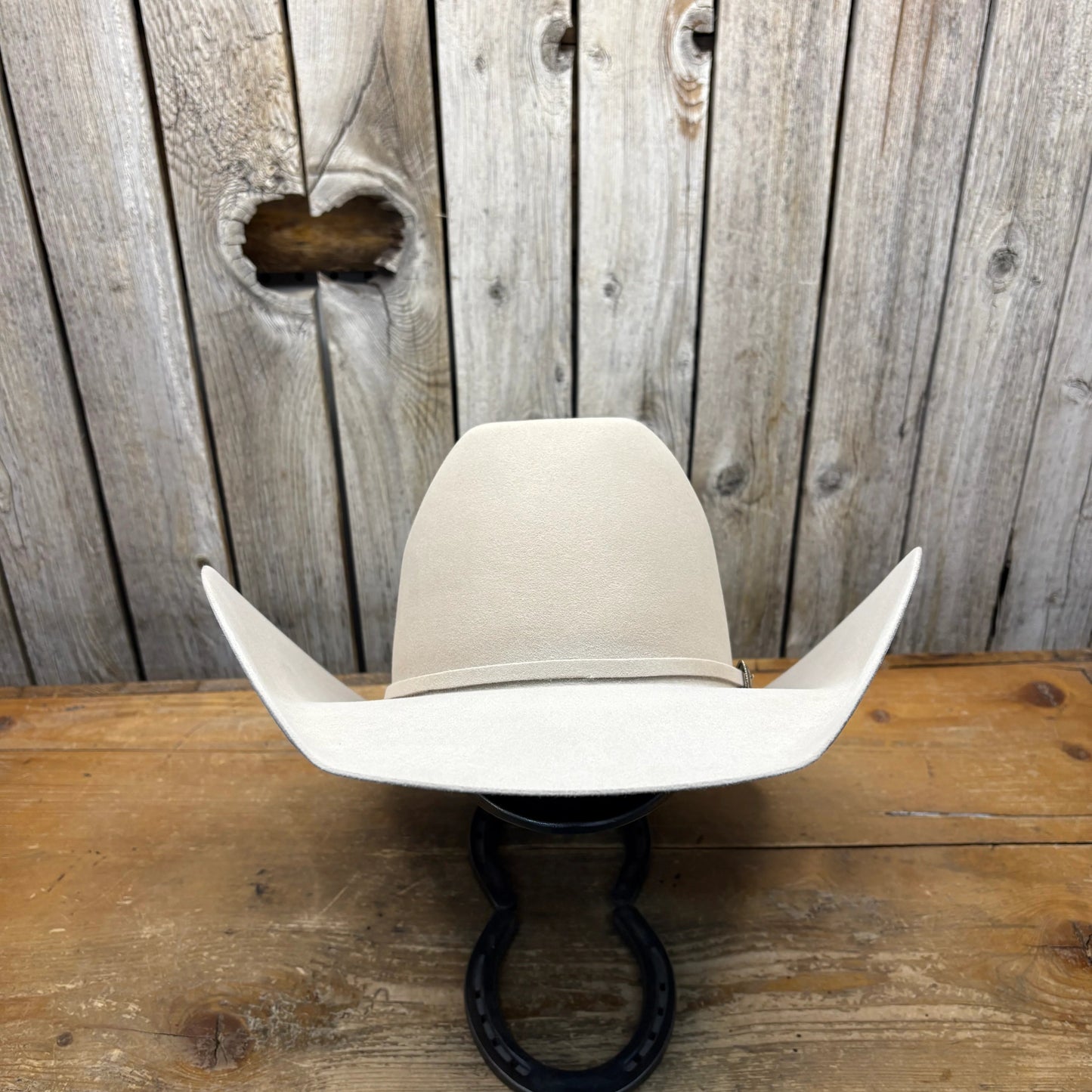 Rodeo King 30X 4 1/2“ Brim | Vientre plateado 