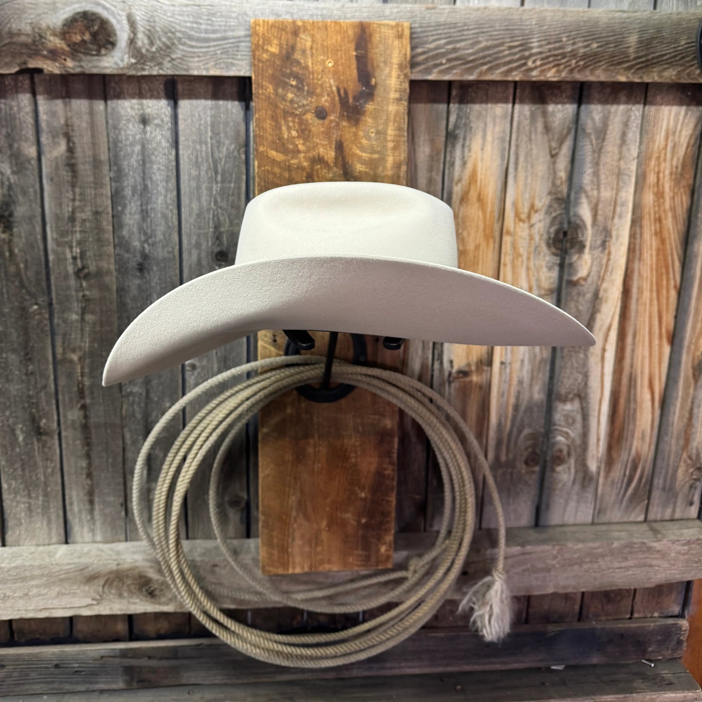 Rodeo King 30X 4 1/2“ Brim | Vientre plateado 