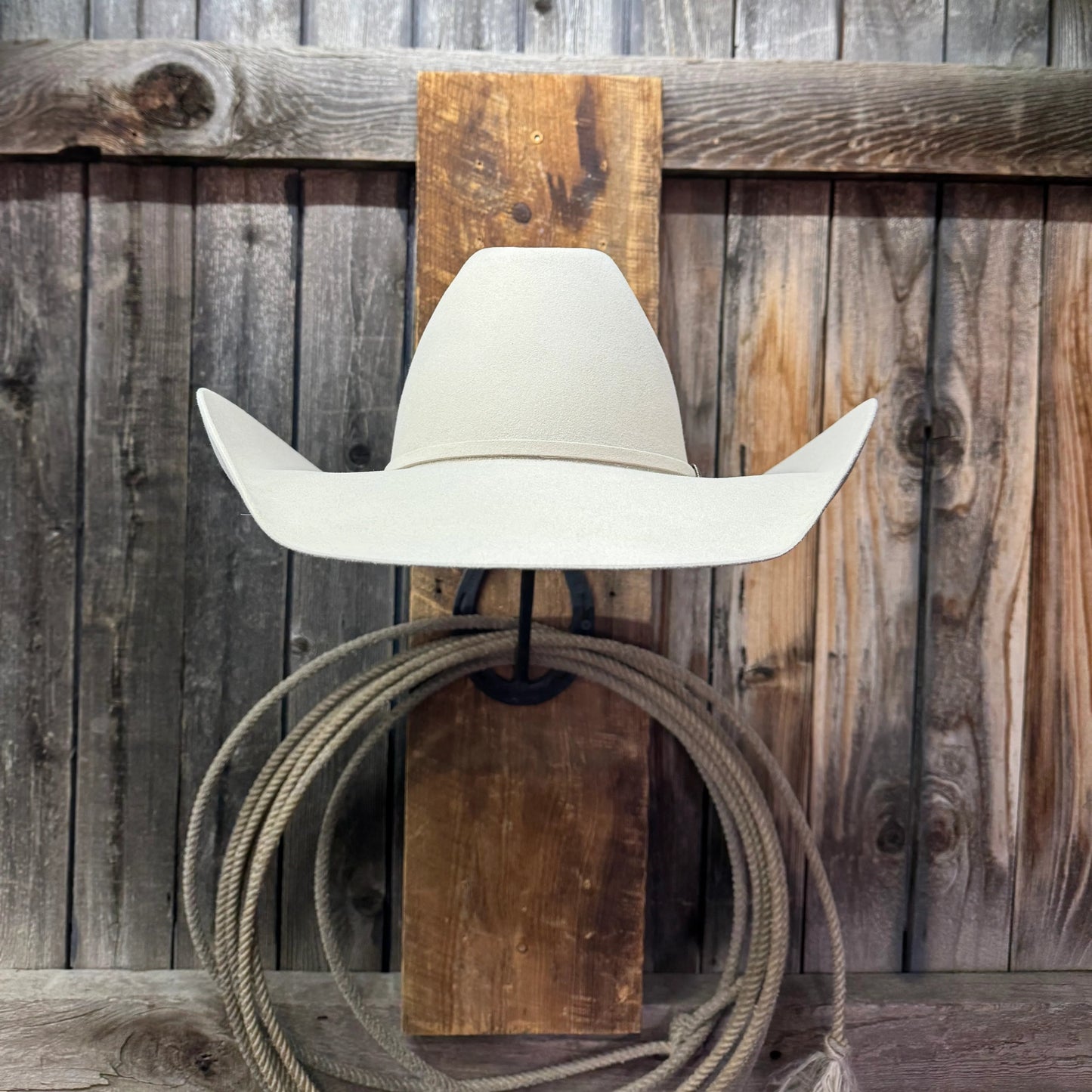 Rodeo King 30X 4 1/2“ Brim | Vientre plateado 