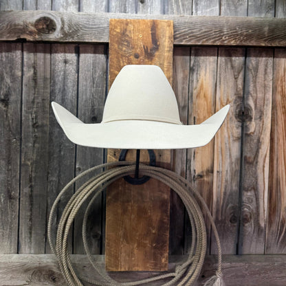 Rodeo King 30X 4 1/2“ Brim | Vientre plateado 