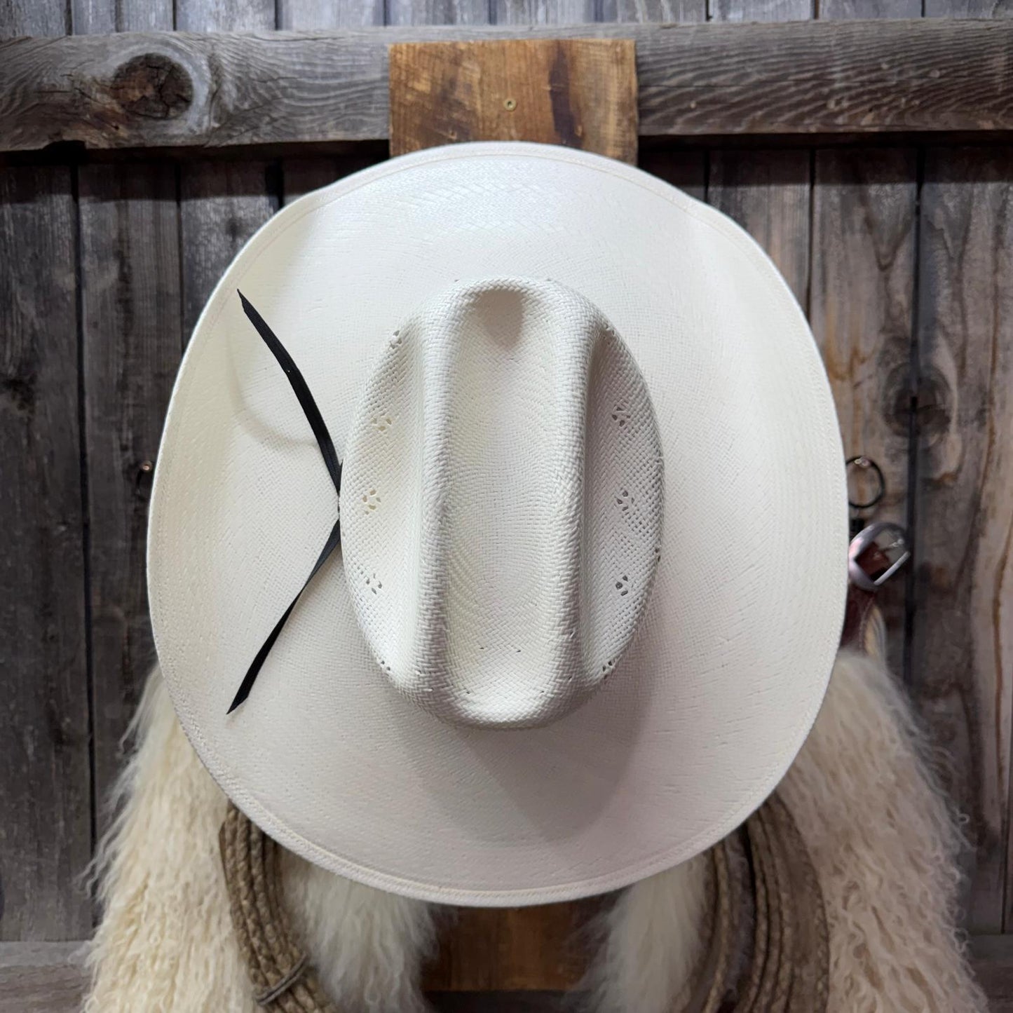 Upper view of cattle man crown 