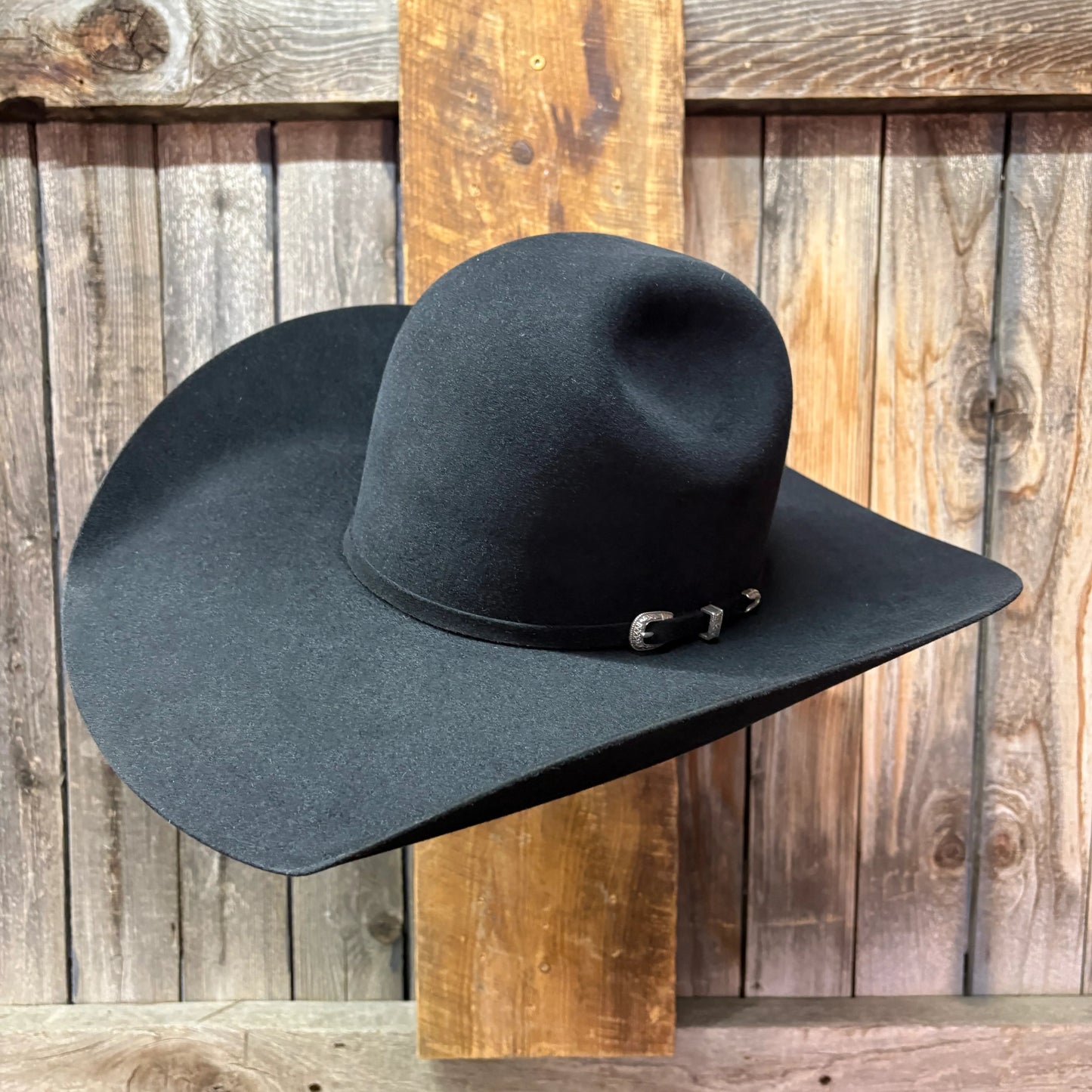 Lote de vacas 5X 5" Brim | Negro