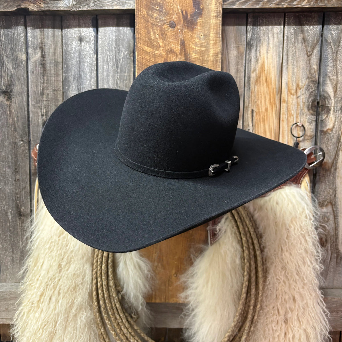 Lote de vacas 5X 5" Brim | Negro