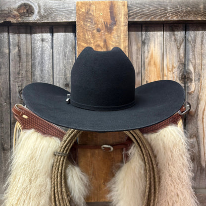 Lote de vacas 5X 5" Brim | Negro