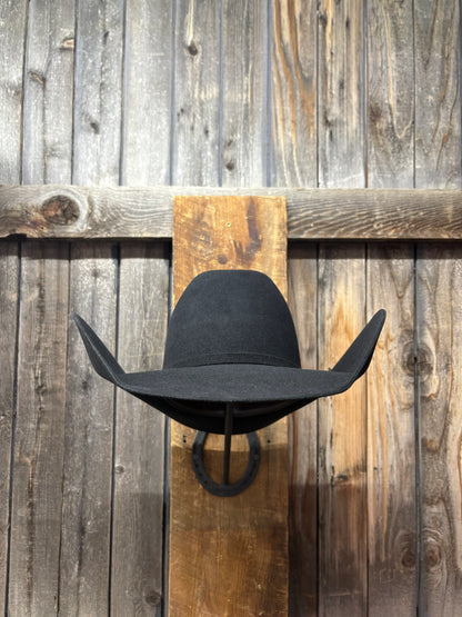 Lote de vacas 5X 5" Brim | Negro