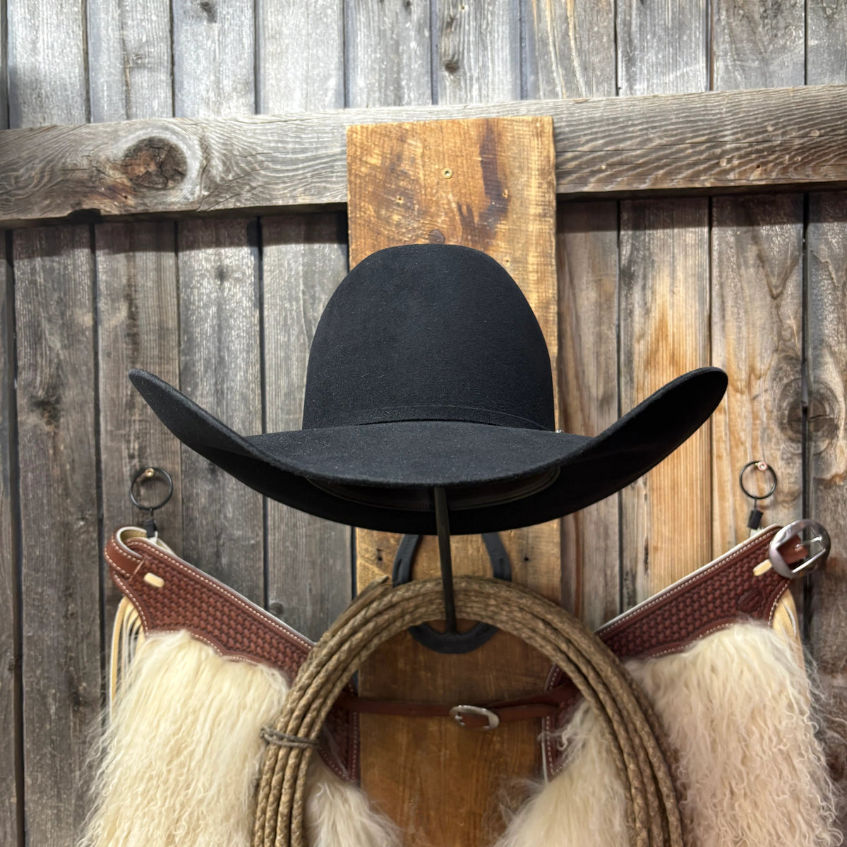 Lote de vacas 5X 5" Brim | Negro