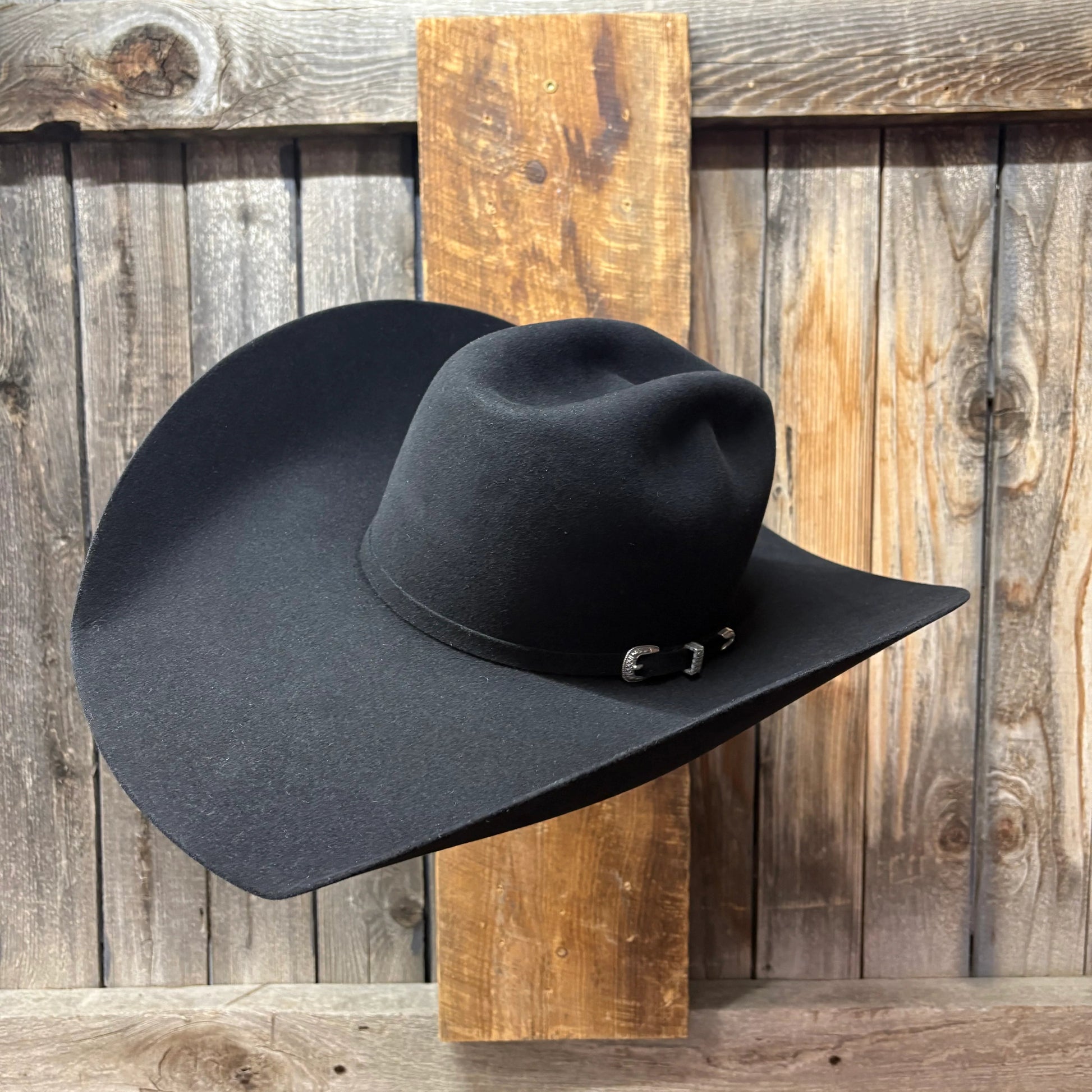 Lote de vacas 5X 5" Brim | Negro