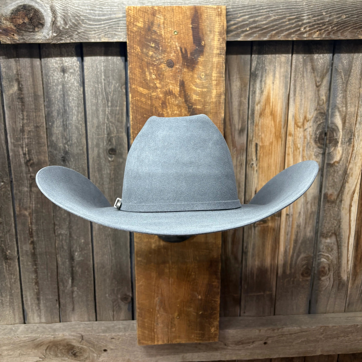 Cow Lot 5X 5" Brim | Steel