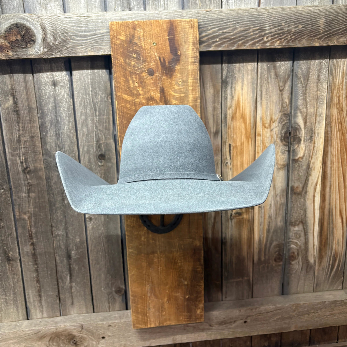 Cow Lot 5X 5" Brim | Steel