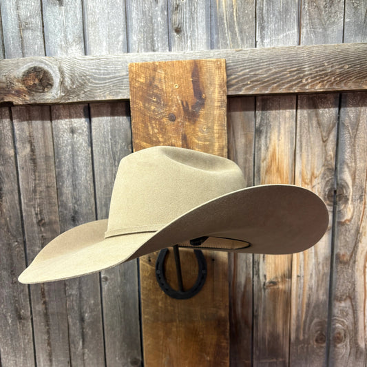 Rodeo King Grizzly 20X 4 3/4" Ala | Carbón 