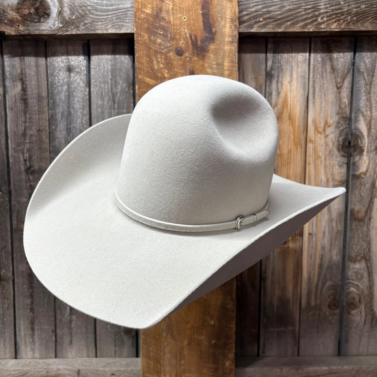 Rodeo King 7X 4 1/2" Brim | Silverbelly
