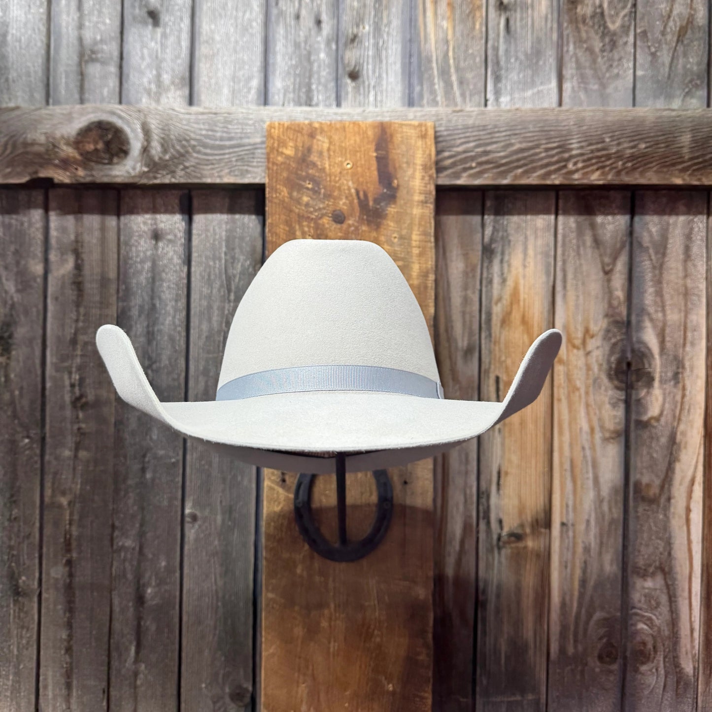 Rodeo King 7X 4 1/2" Brim | Silverbelly