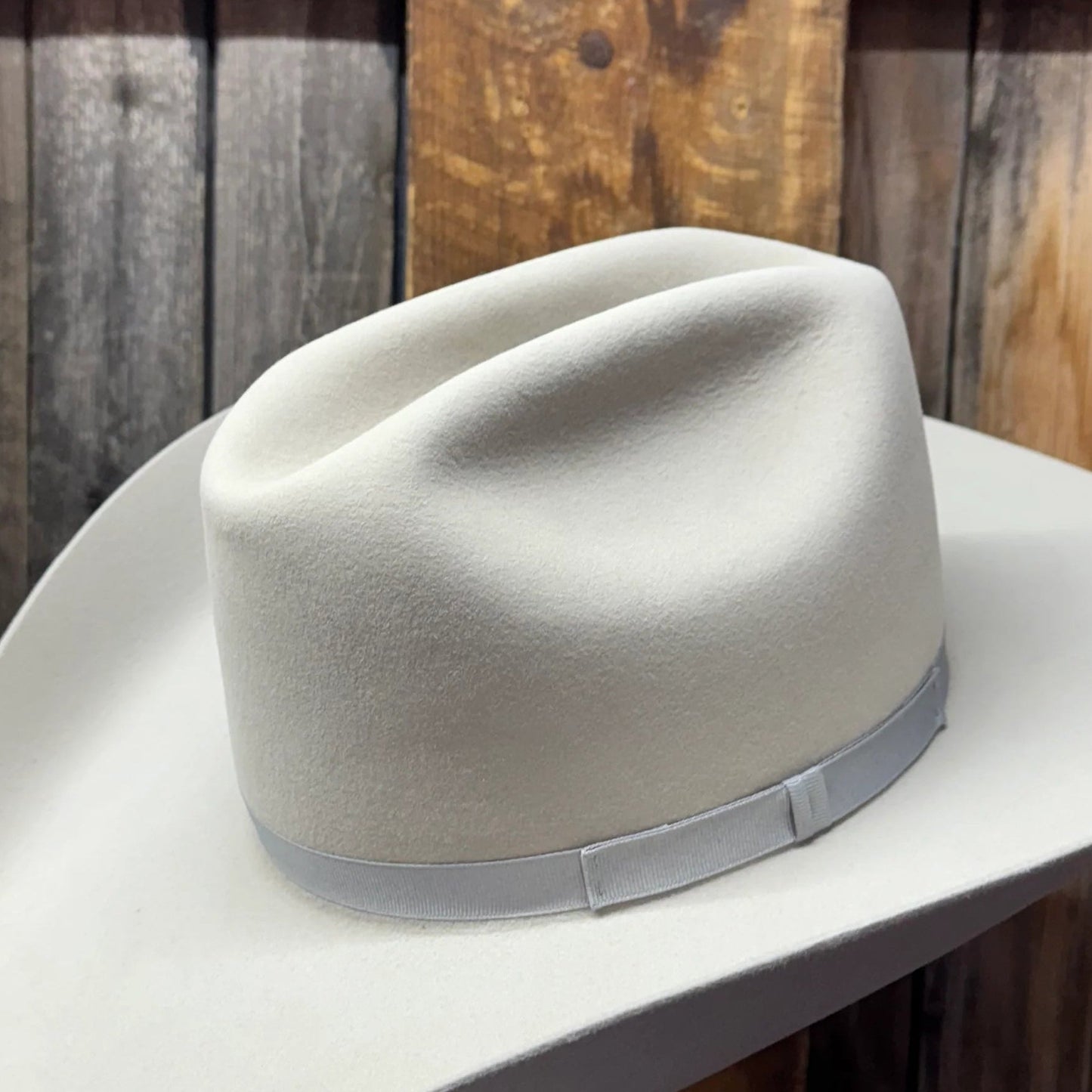 Rodeo King 7X 4 1/2" Brim | Silverbelly