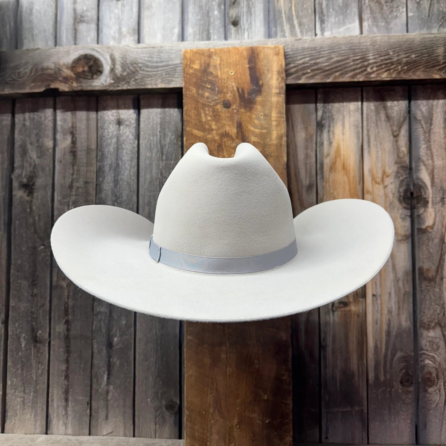 Rodeo King 7X 4 1/2" Brim | Silverbelly