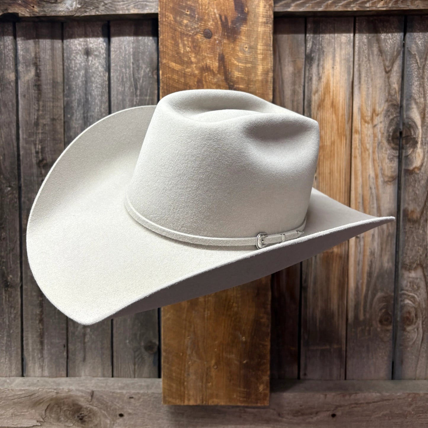 Rodeo King 7X 4 1/2" Brim | Silverbelly