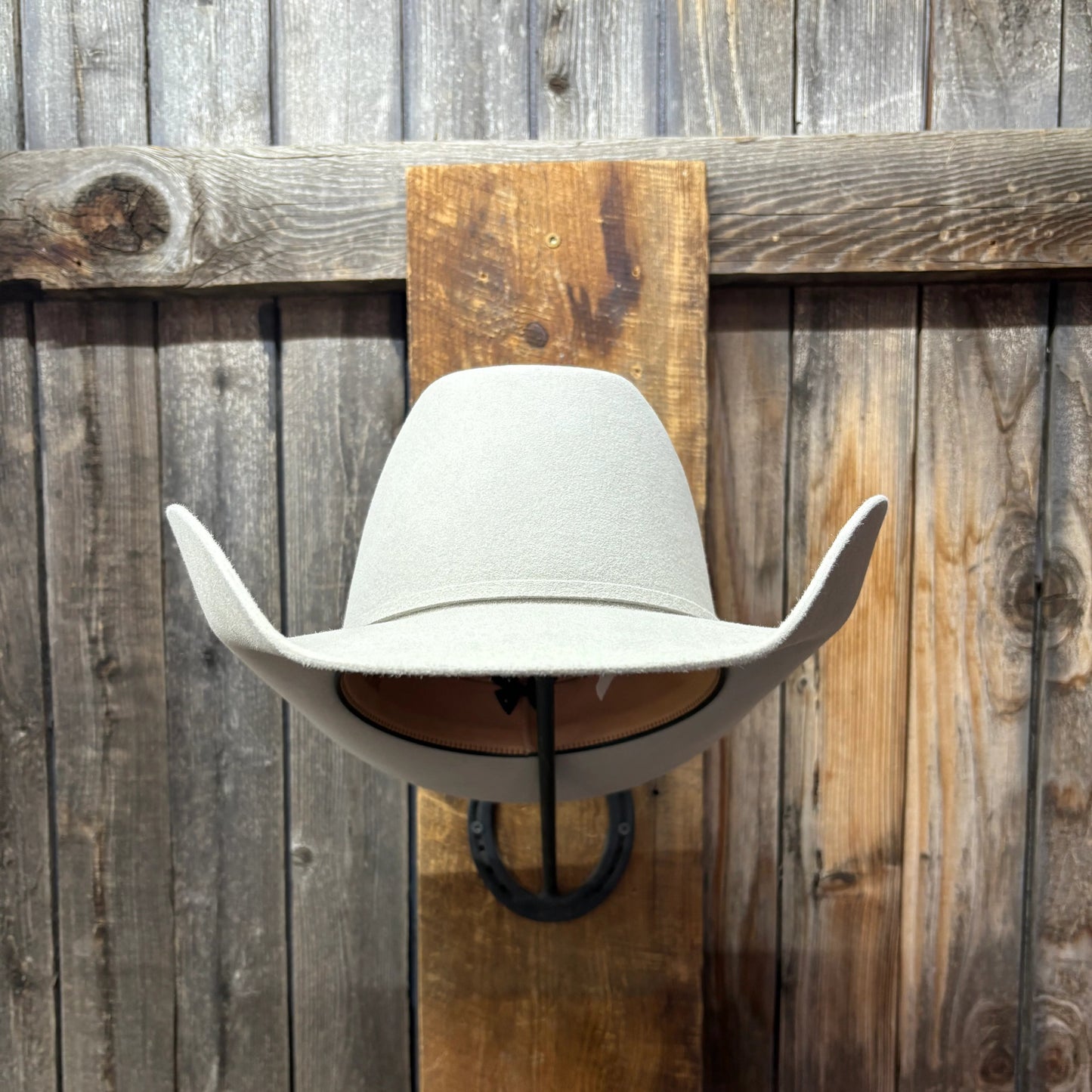 Rodeo King 7X 4 1/2" Brim | Silverbelly