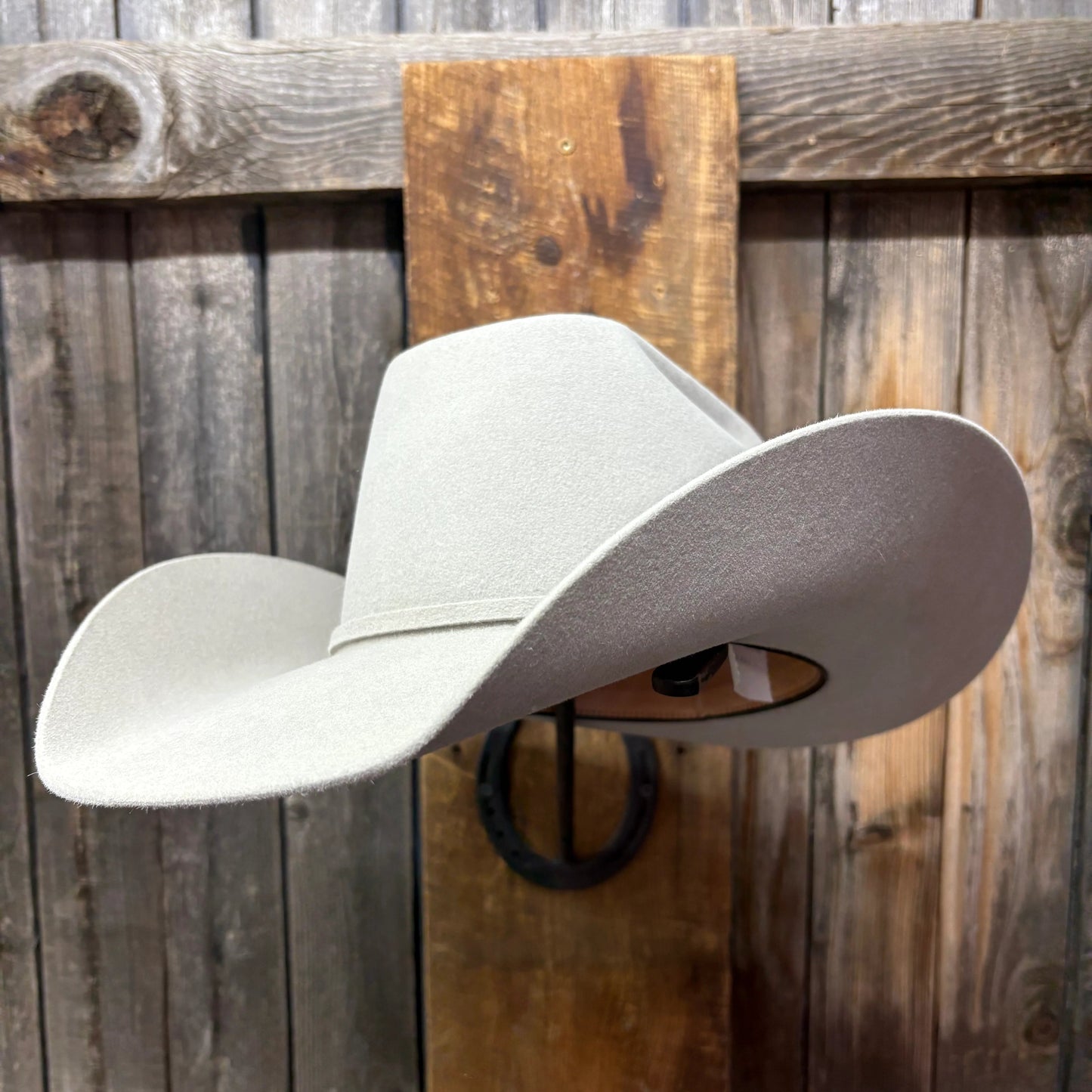 Rodeo King 7X 4 1/2" Brim | Silverbelly