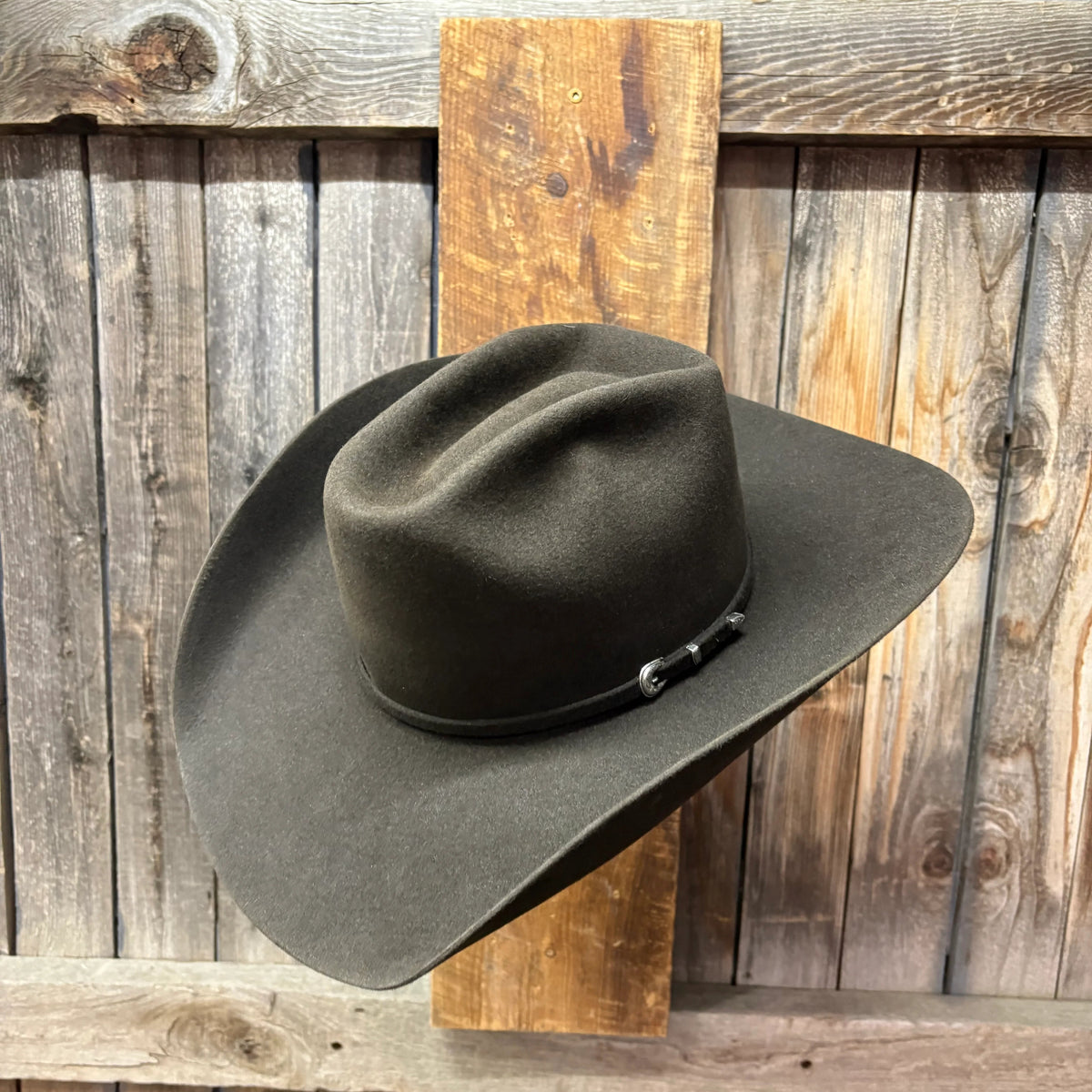 Rodeo King 7X 4 1/2" Brim | Chocolate