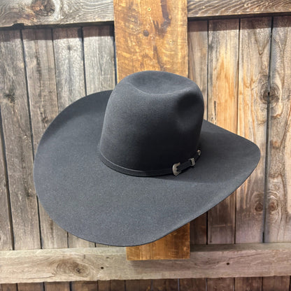 Lote de vacas con ala de 5X 5" | Granito