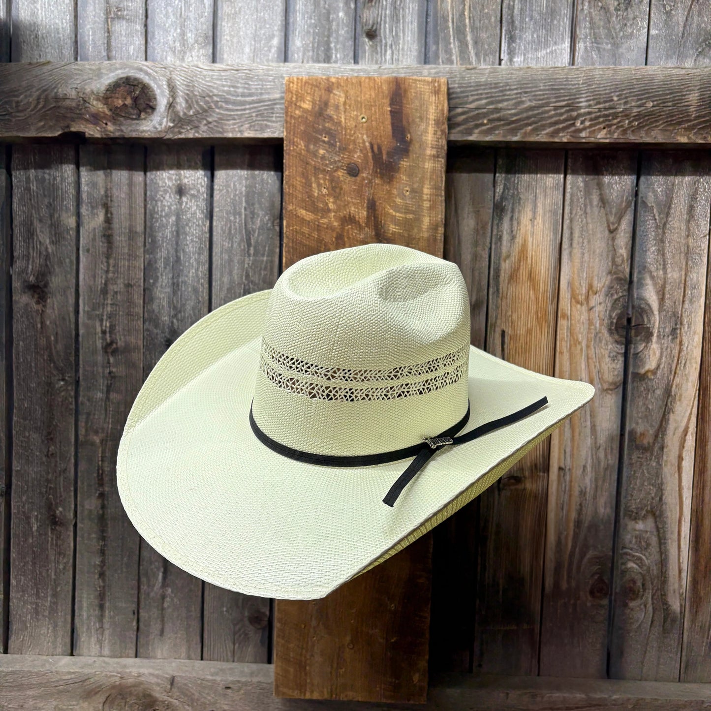 Ala Bangora de 4 1/4"