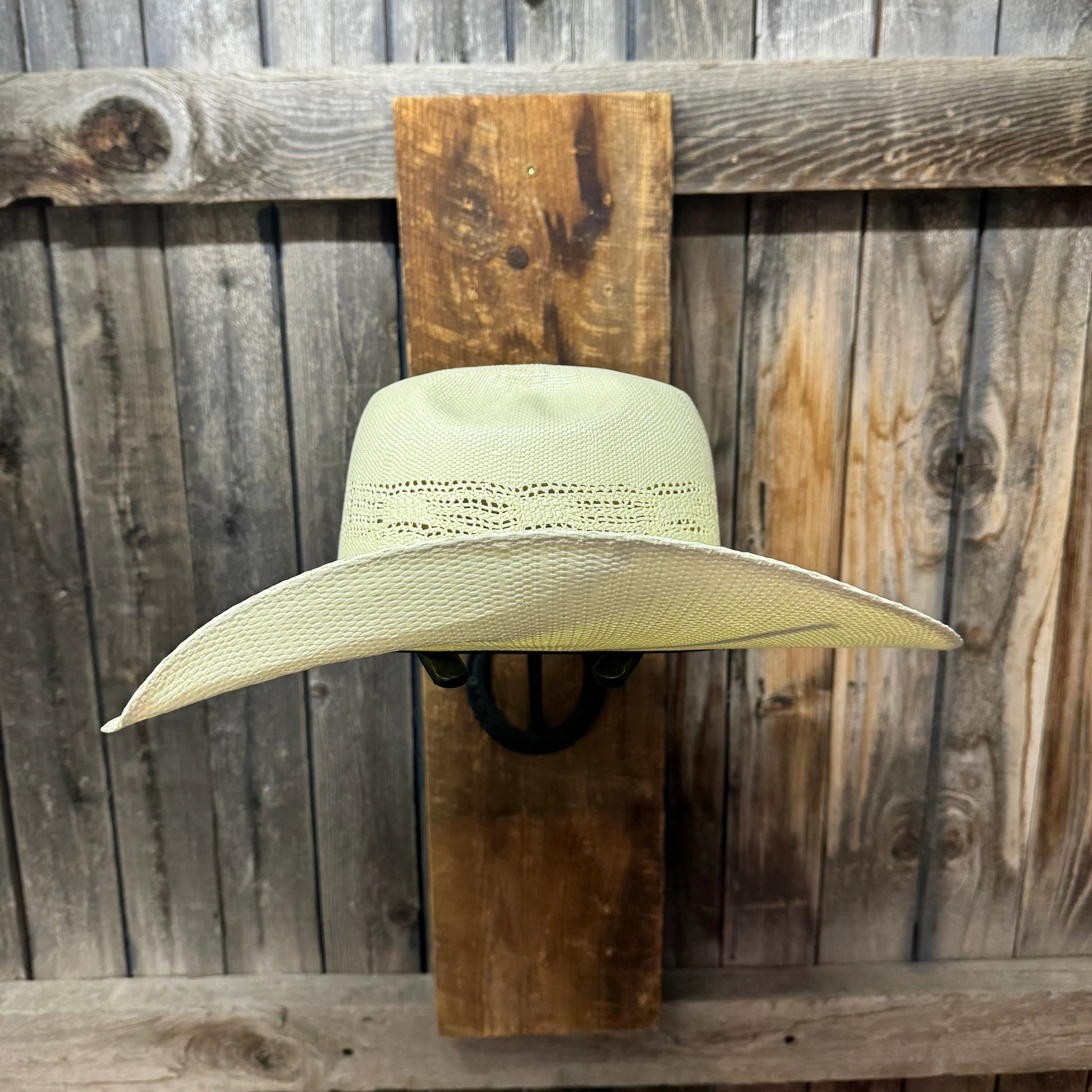 Ala Bangora de 4 1/4"