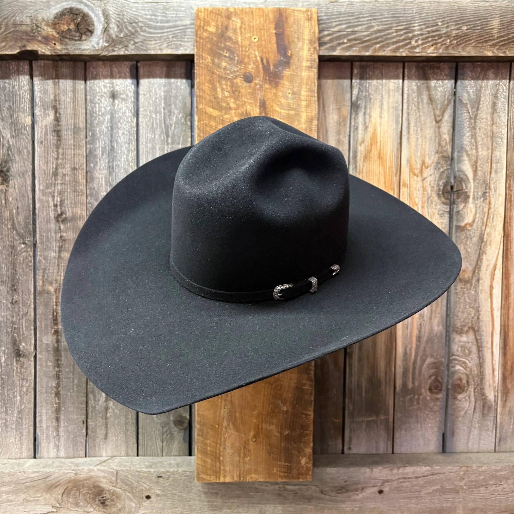 Lote de vacas 5X 5" Brim | Negro