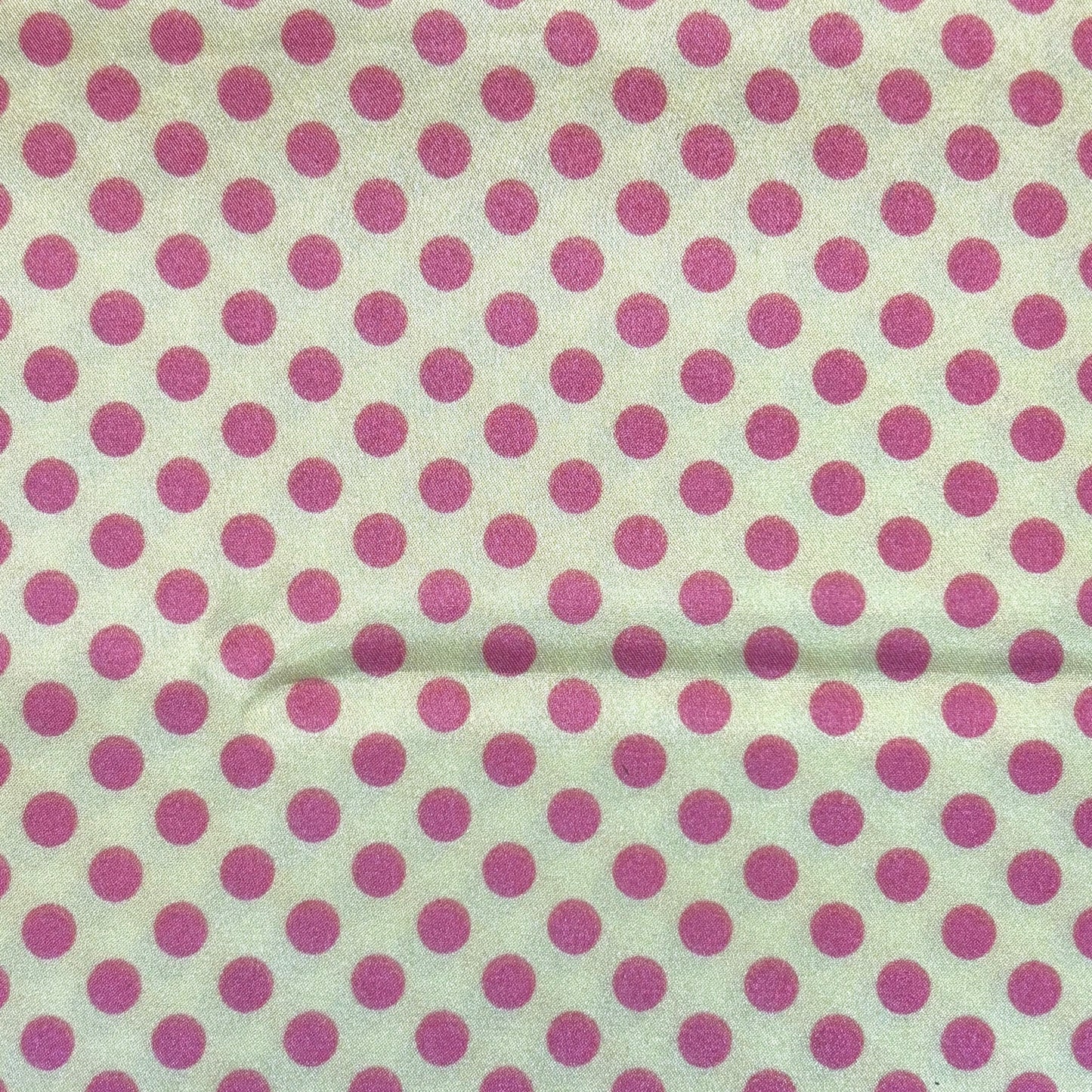 Wild Rag County Fair