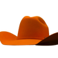 Pro Hats 4 1/4" Brim | Arizona Sunset