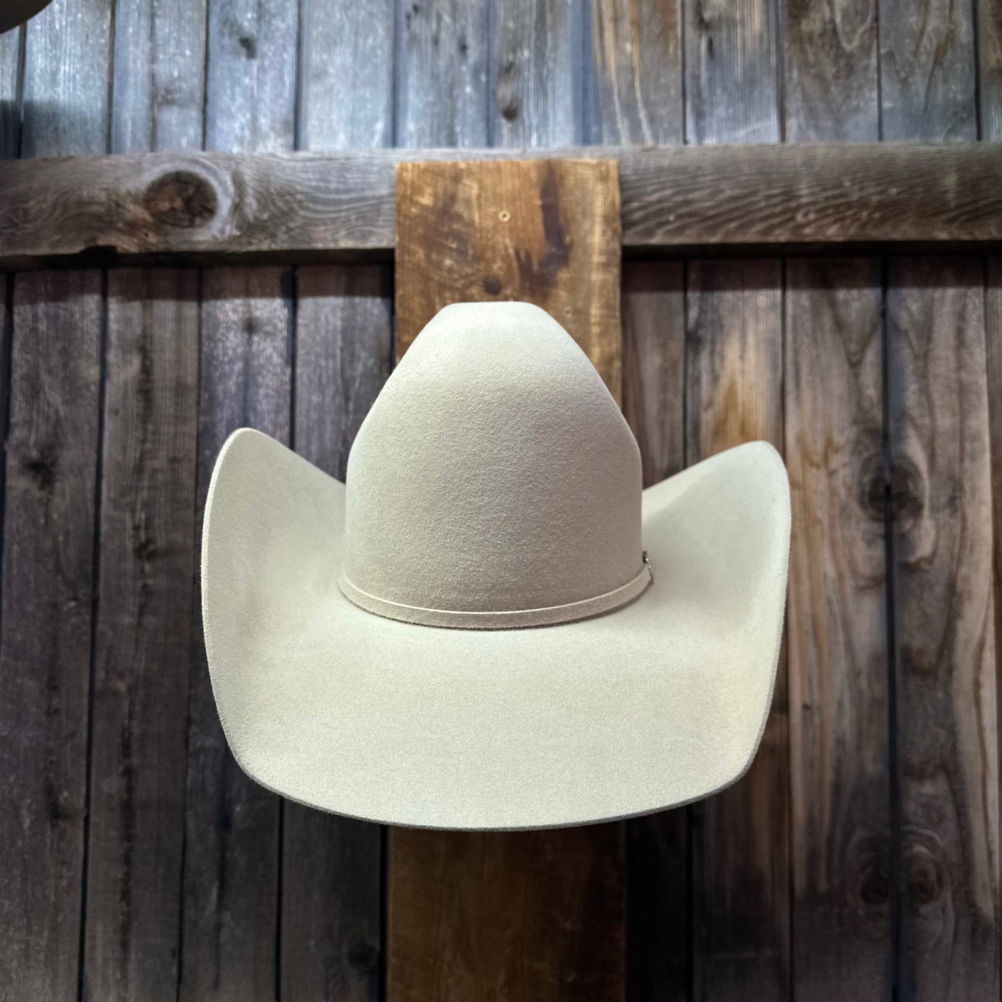 Rodeo King 10X 4 1/2" Brim | Buckskin