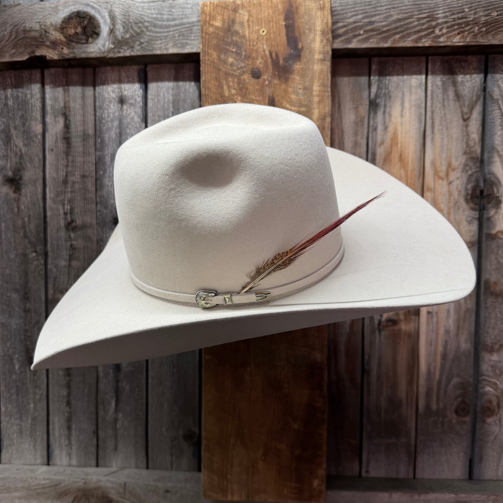 Feather Pointer Red Brown Tip