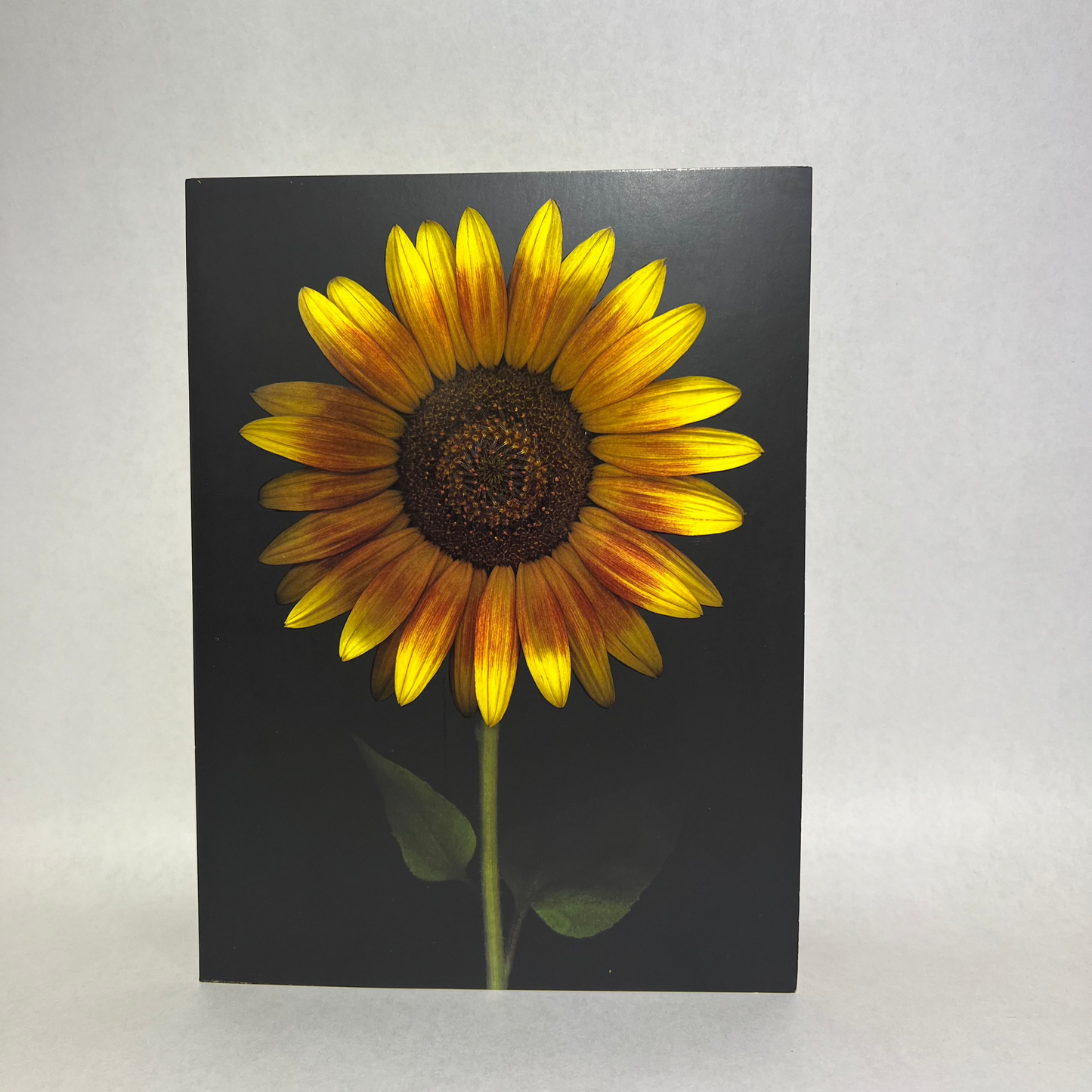 Birthday Greeting Cards | Sunflower